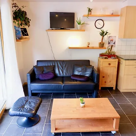 Haus Judith - Bonita By Interhome Διαμέρισμα Saas Fee